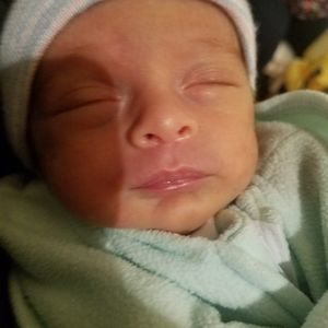 Meet your Posher, Viola